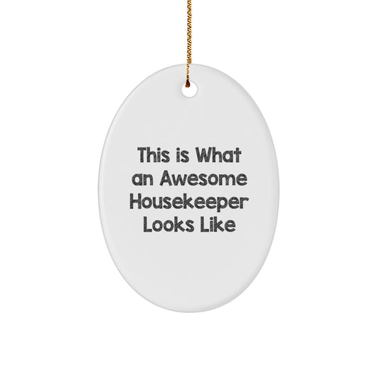 Funny Housekeeper Gifts from Friends, This Is What An Awesome Housekeeper Looks Like Oval Ornament for Housekeeper, Unique Christmas Unique Gifts for Her, Funny Housekeeper Decor - Image 1