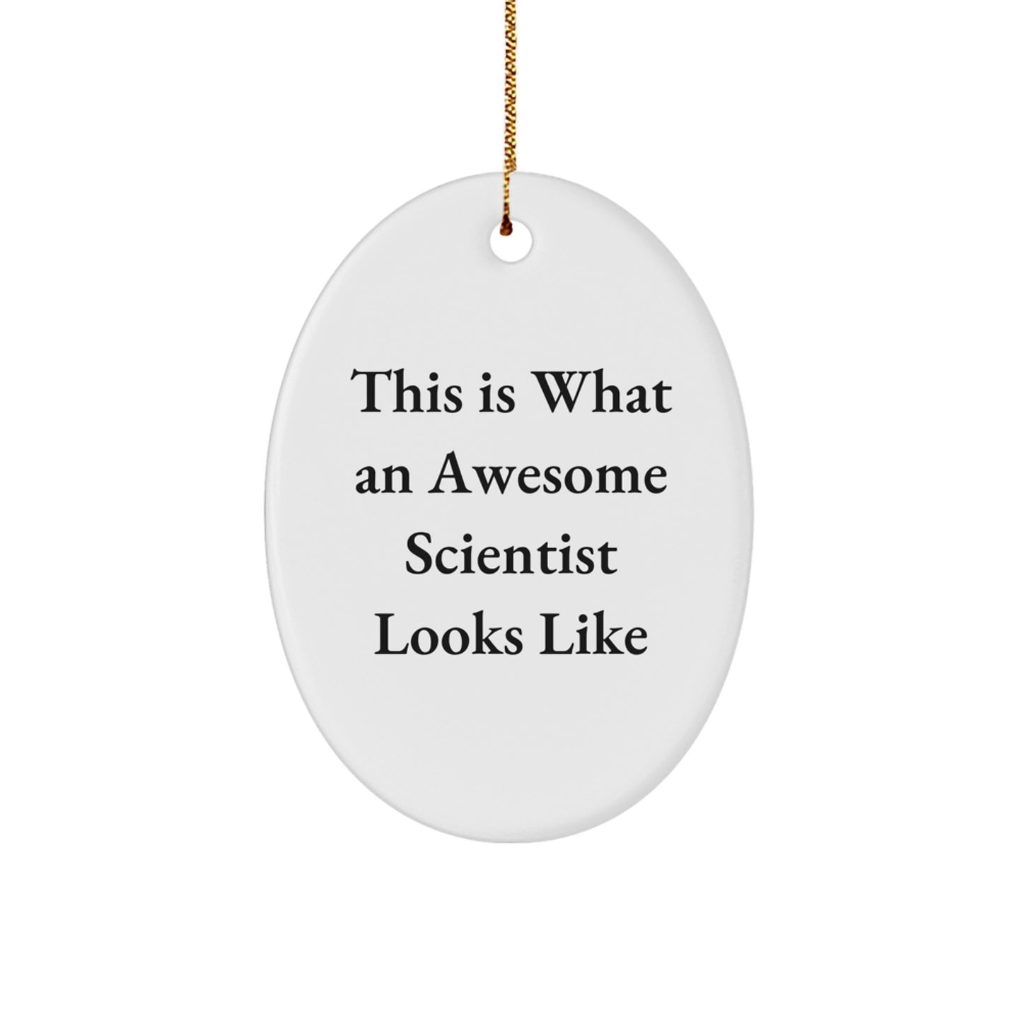 Funny Scientist Gifts from Friends for Awesome Scientist Looks Like Oval Ornament Christmas Unique Presents - Image 1