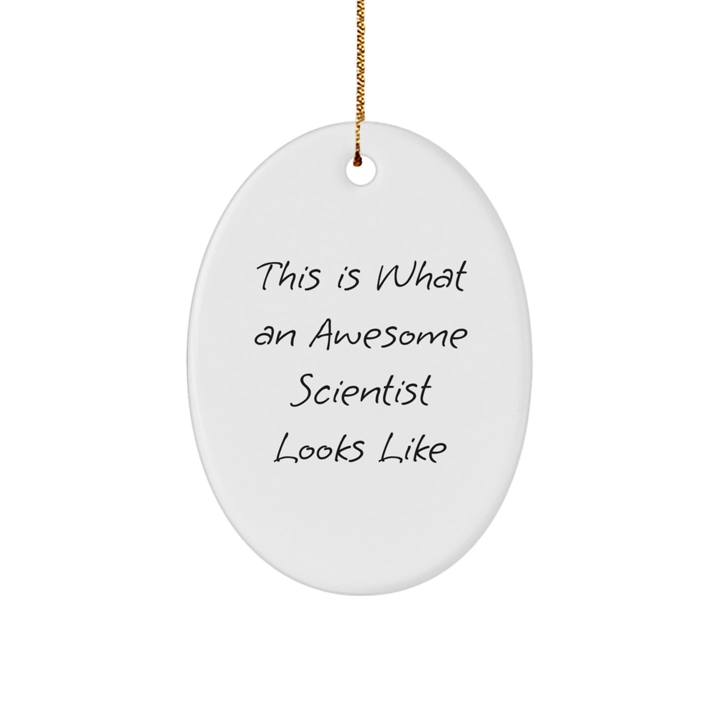 Funny Scientist Gifts for Men, Unique Oval Ornament with This Is What An Awesome Scientist Looks Like Quote, Christmas Decorations from Friends - Image 1
