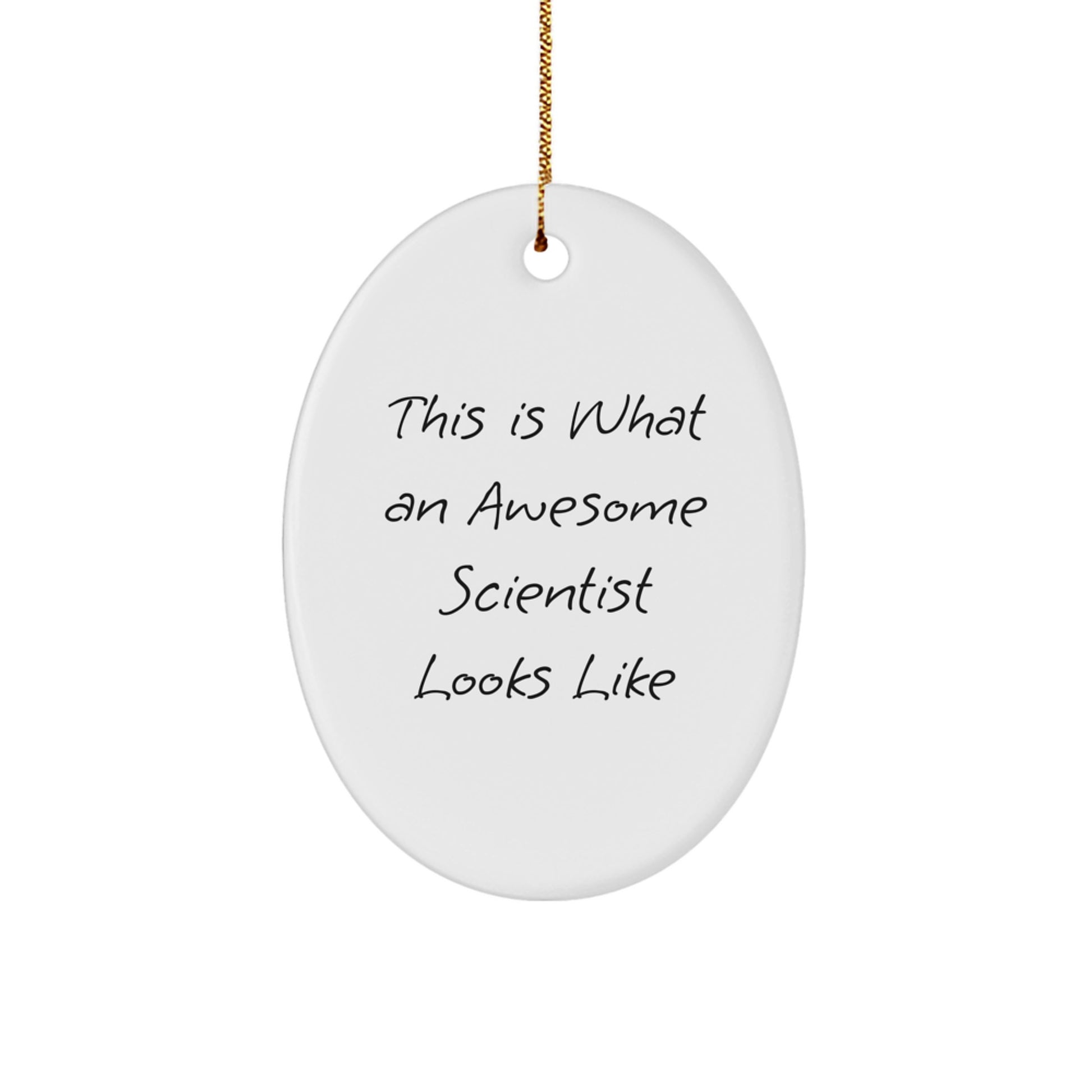 Funny Scientist Gifts for Men, Unique Oval Ornament with This Is What An Awesome Scientist Looks Like Quote, Christmas Decorations from Friends - Image 1