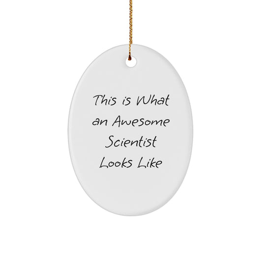 Funny Scientist Gifts for Men, Unique Oval Ornament with This Is What An Awesome Scientist Looks Like Quote, Christmas Decorations from Friends - Image 1