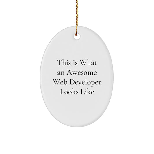 Funny Web Developer Christmas Unique Gifts from Friends for Web Developers Oval Ornament, This Is What An Awesome Web Developer Looks Like Christmas Unique Gifts - Image 1