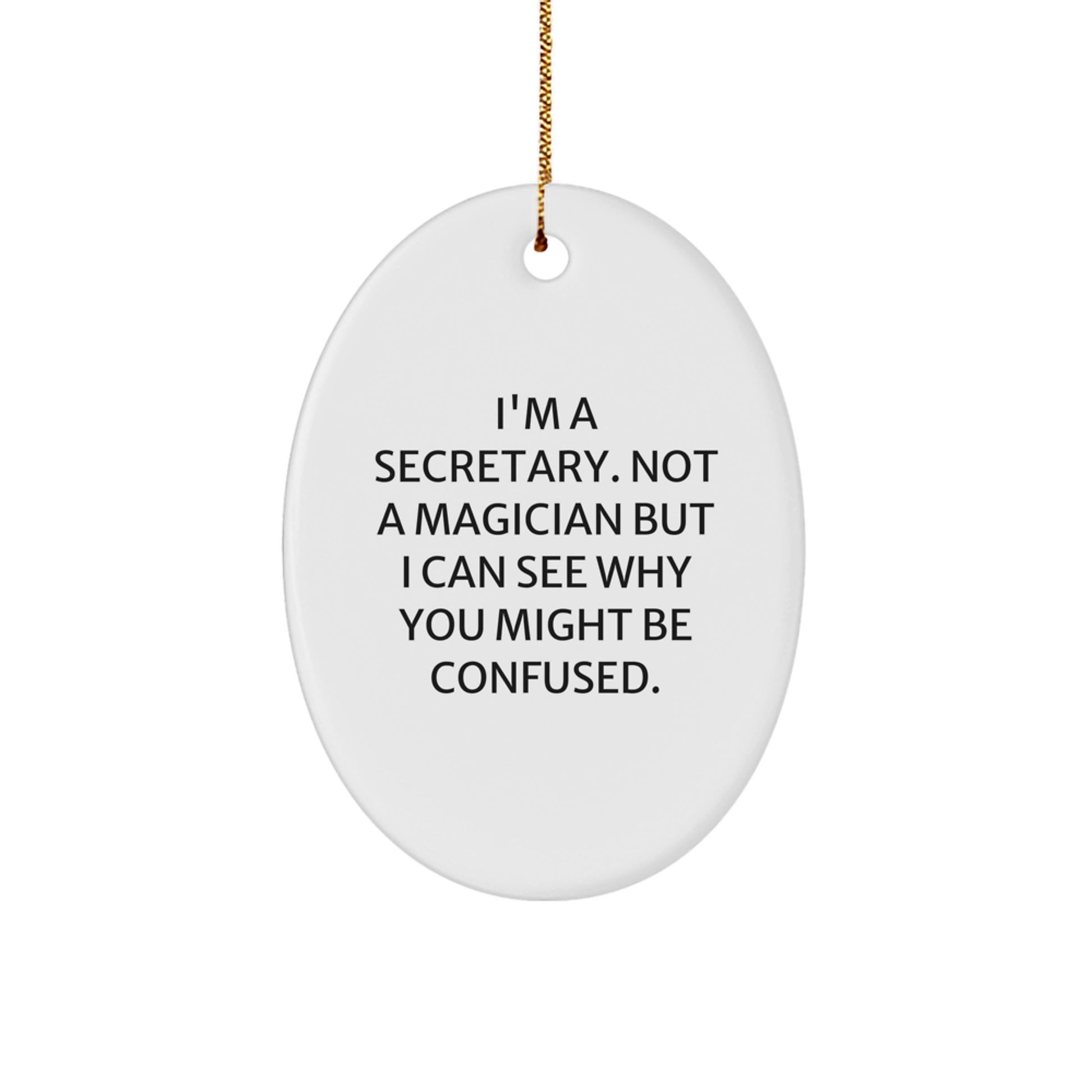 Funny Secretary Gifts from Men to Friends and Family - Oval Ornament for Office Secretary Christmas Unique Decorations - Image 1