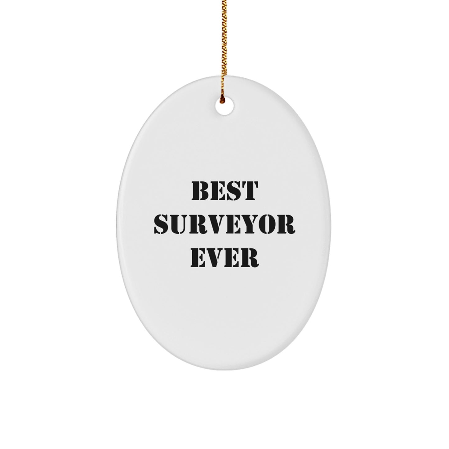 Funny Surveyor Oval Ornament Gifts for Surveyor, Unique Christmas Unique Gifts from Friends for Friends, Best Surveyor Ever Quote, Oval Ornament for Men - Image 1