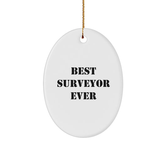 Funny Surveyor Oval Ornament Gifts for Surveyor, Unique Christmas Unique Gifts from Friends for Friends, Best Surveyor Ever Quote, Oval Ornament for Men - Image 1