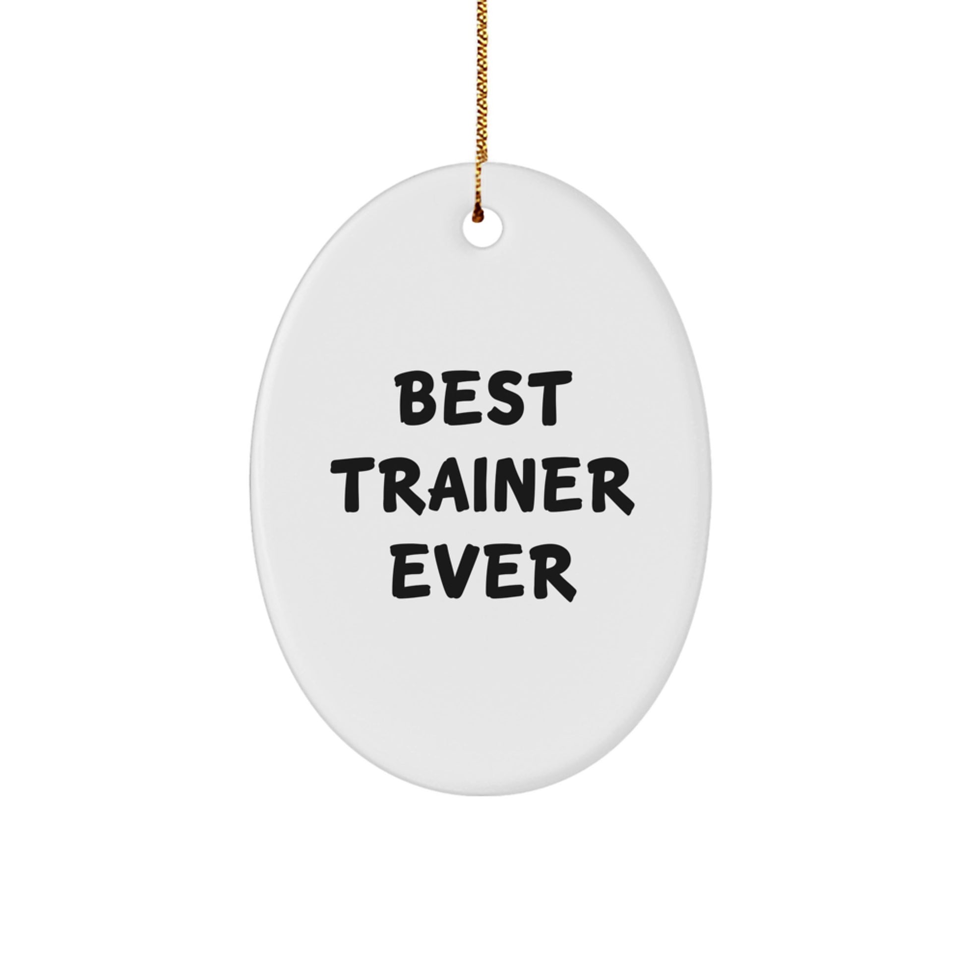 Funny Trainer Oval Ornament, Best Trainer Ever Gifts for Trainer, Christmas Unique Gifts from Friends - Image 1