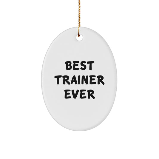 Funny Trainer Oval Ornament, Best Trainer Ever Gifts for Trainer, Christmas Unique Gifts from Friends - Image 1