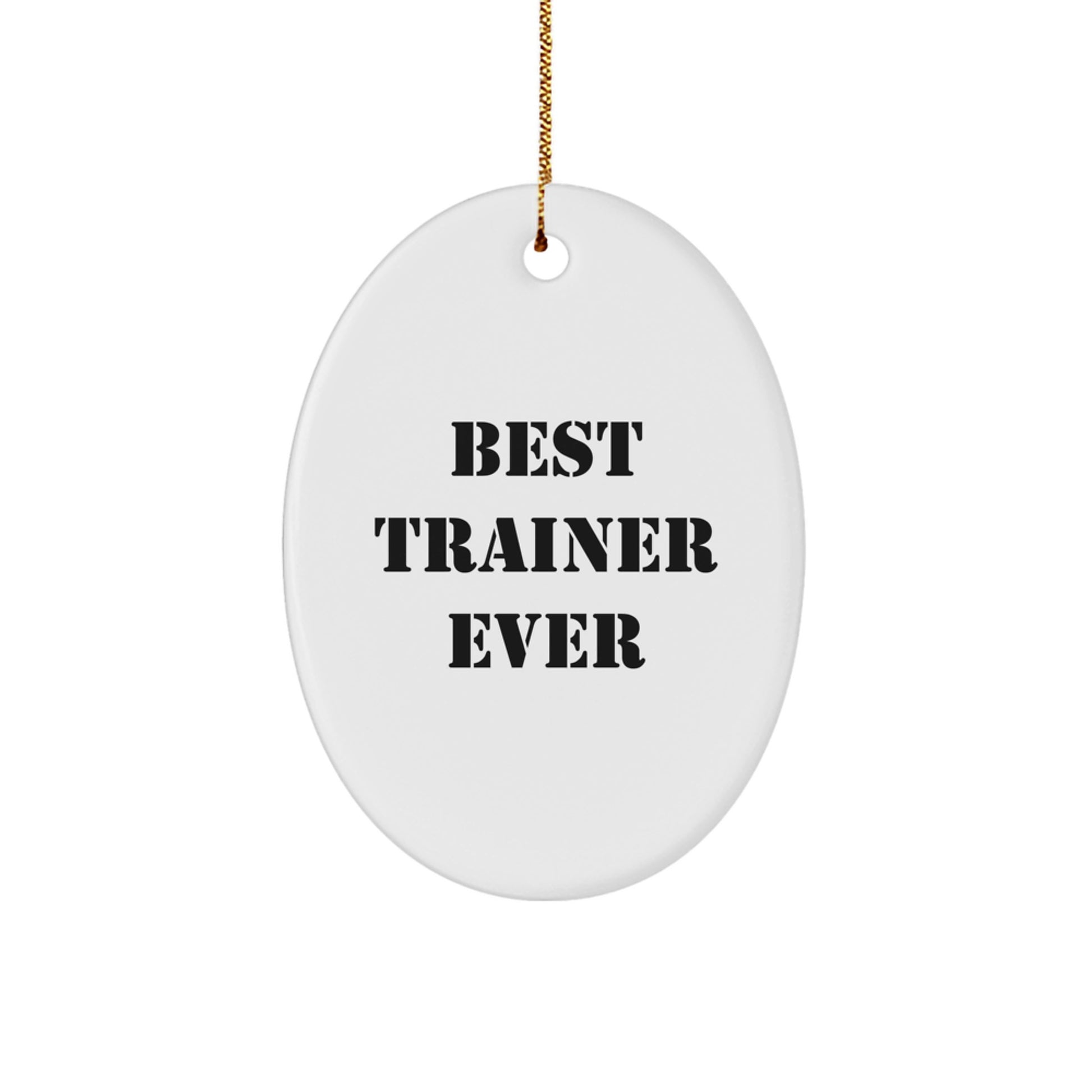 Funny Trainer Christmas Unique Gifts from Family - Best Trainer Ever Oval Ornament for Men and Women - Image 1