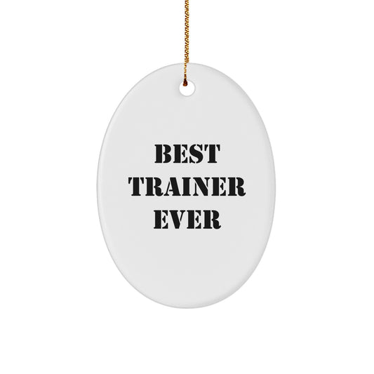 Funny Trainer Christmas Unique Gifts from Family - Best Trainer Ever Oval Ornament for Men and Women - Image 1