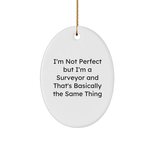 Funny Surveyor Gifts from Friends to Men - I'm Not Perfect Oval Ornament for Christmas - Image 1
