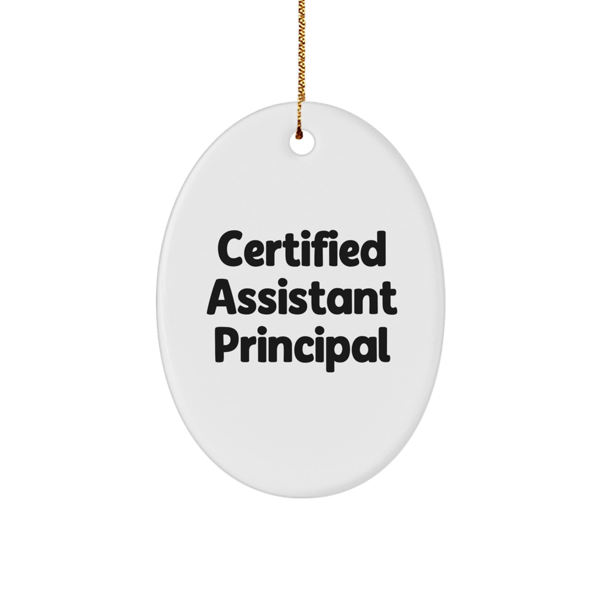 Funny Quotes for Assistant Principal Oval Decorations Gifts from Friends and Family, Christmas Unique Gifts for Assistant Principals - Image 1