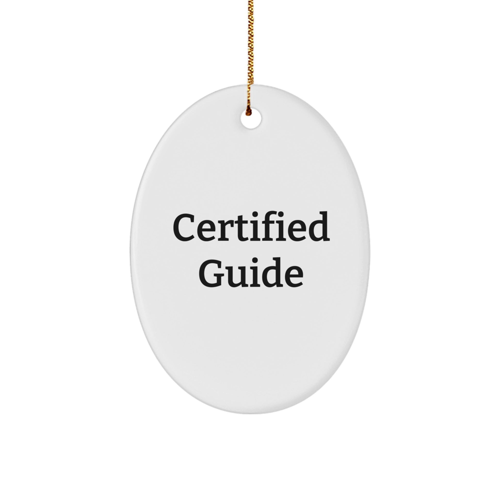 Funny Guide Gifts from Friends, Oval Ornament Christmas Unique Ideas for Guide Lovers, 'You're a Guide genius' Quote - Image 1