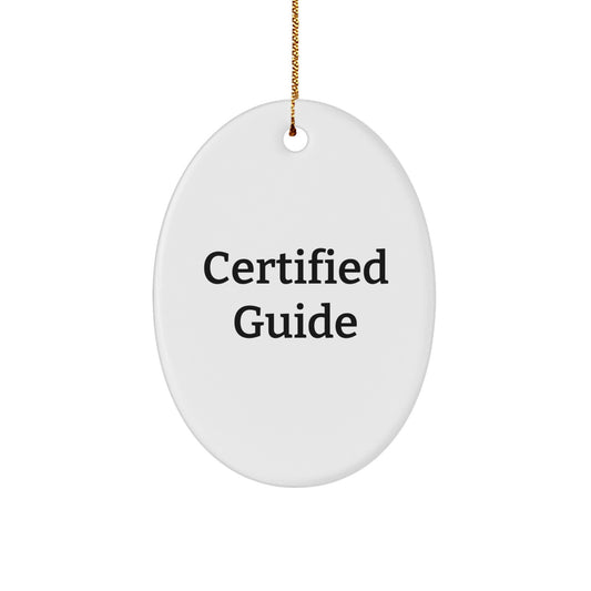 Funny Guide Gifts from Friends, Oval Ornament Christmas Unique Ideas for Guide Lovers, 'You're a Guide genius' Quote - Image 1