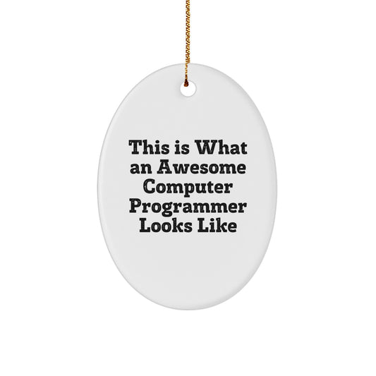 Computer Programmer Oval Ornament Gifts from Friends and Family - Inspirational Quote This Is What An Awesome Computer Programmer Looks Like - Christmas Unique Gifts - Image 1