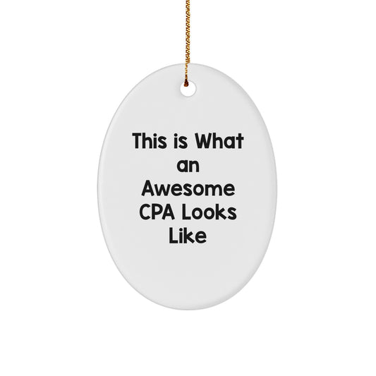 Funny CPA Gifts for Men Christmas Oval Ornament from Friends, CPA Unique Gifts for Office Decorations - Image 1