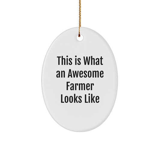 Funny Farmer Gifts from Men to Friends This Is What An Awesome Farmer Looks Like Oval Ornament, Christmas Unique Presents for Family - Image 1