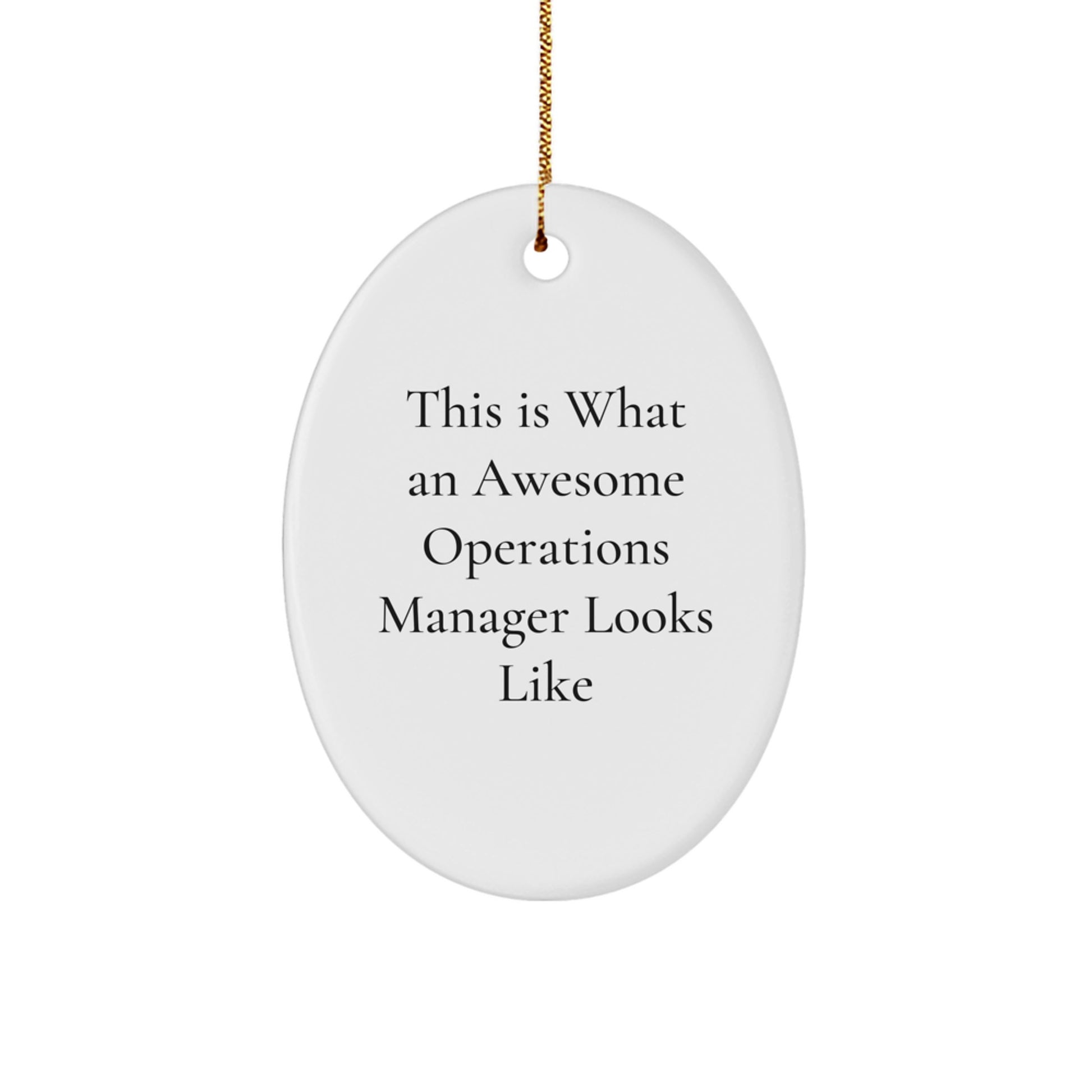 Funny Operations Manager Gifts - 'This Is What An Awesome Operations Manager Looks Like' Oval Ornament, Gifts from Friends to Operations Manager, Christmas Unique Gifts - Image 1