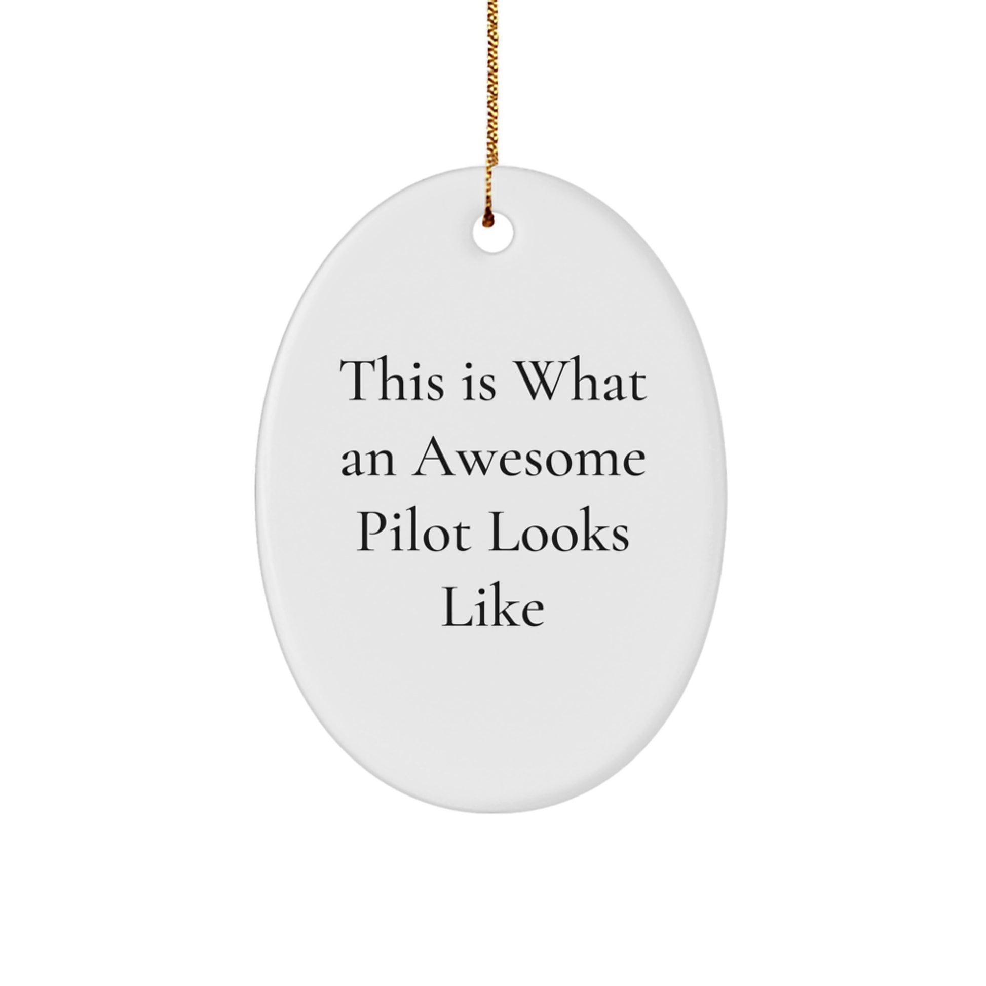 Pilot Gifts from Friends and Family - 'This Is What An Awesome Pilot Looks Like' Oval Ornament, Christmas Unique Presents for Men, Women, Coworkers, or Family - Image 1