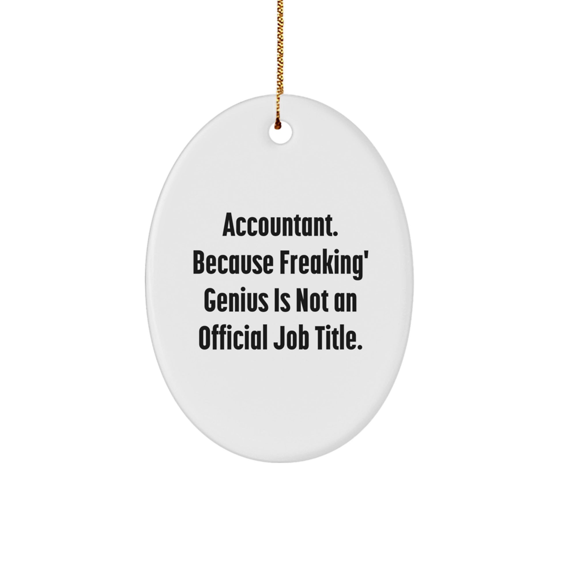 Accountant Oval Ornament Gifts from Friends and Family for Christmas Unique Presents - Image 1
