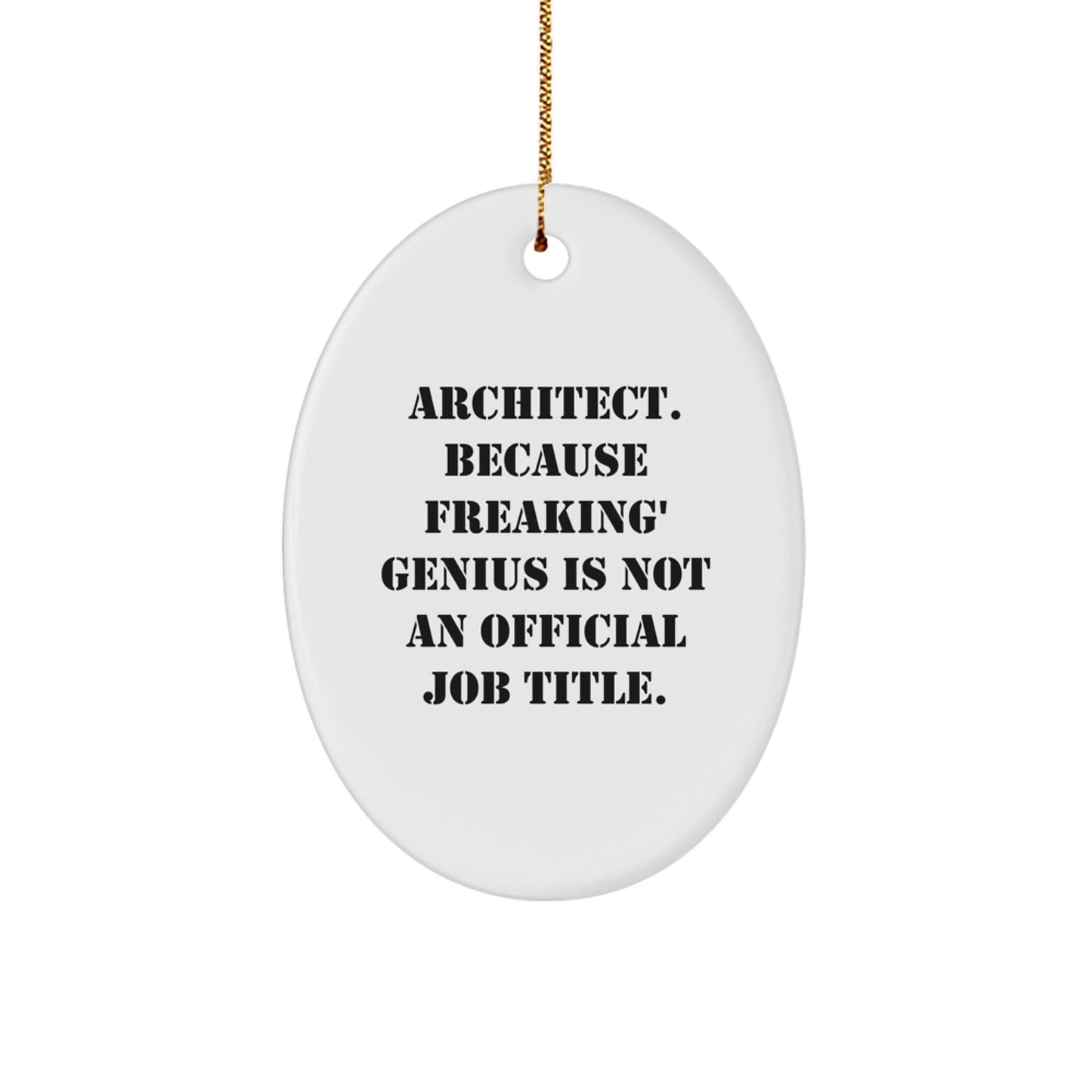 Funny Architect Oval Ornament Gifts from Family for Men - Unique Christmas Decorations with Inspirational Quote - Image 1