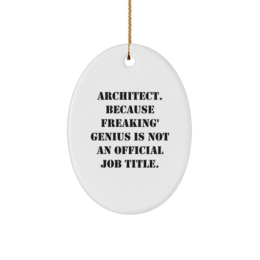 Funny Architect Oval Ornament Gifts from Family for Men - Unique Christmas Decorations with Inspirational Quote - Image 1