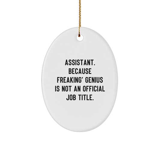 Funny Oval Ornaments Gifts from Men to Assistant Coworkers at Christmas, Assistant Oval Ornament for Christmas Unique Gifts, Oval Ornament Because Freaking genius Is Not An Official Job Title - Image 1