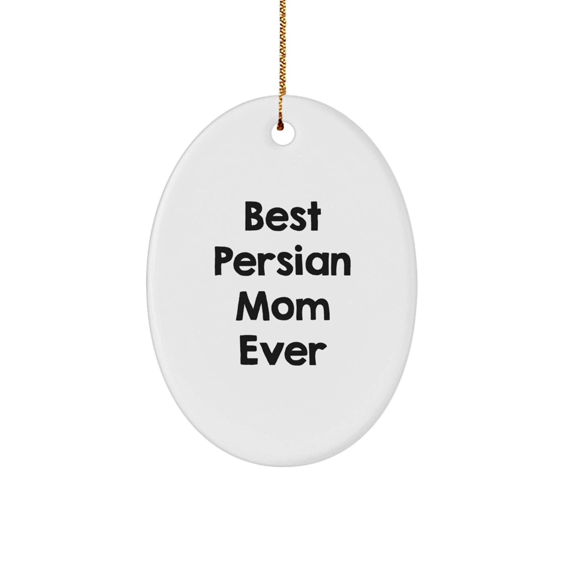 Funny Persian Cat Mom Gifts from Friends for Christmas Unique Oval Ornament - Image 1