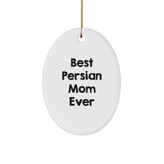 Funny Persian Cat Mom Gifts from Friends for Christmas Unique Oval Ornament - Image 1