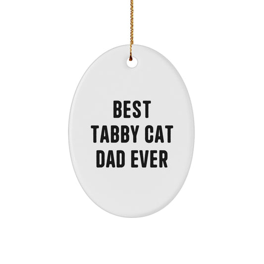 Tabby Cat Dad Ever Oval Ornament Gifts from Men to Family for Christmas - Image 1