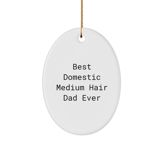 Funny Domestic Medium Hair Cat Dad Gifts Oval Ornament, Gifts from Friends to Family for Christmas - Image 1