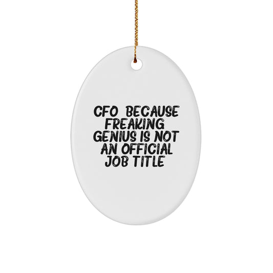 Funny CFO Gifts for Men, CFO Oval Ornament, 'CFO. Because Freaking' genius Is Not An Official Job Title.' Christmas Unique Gifts from Family, Funny CFO Office Decor - Image 1