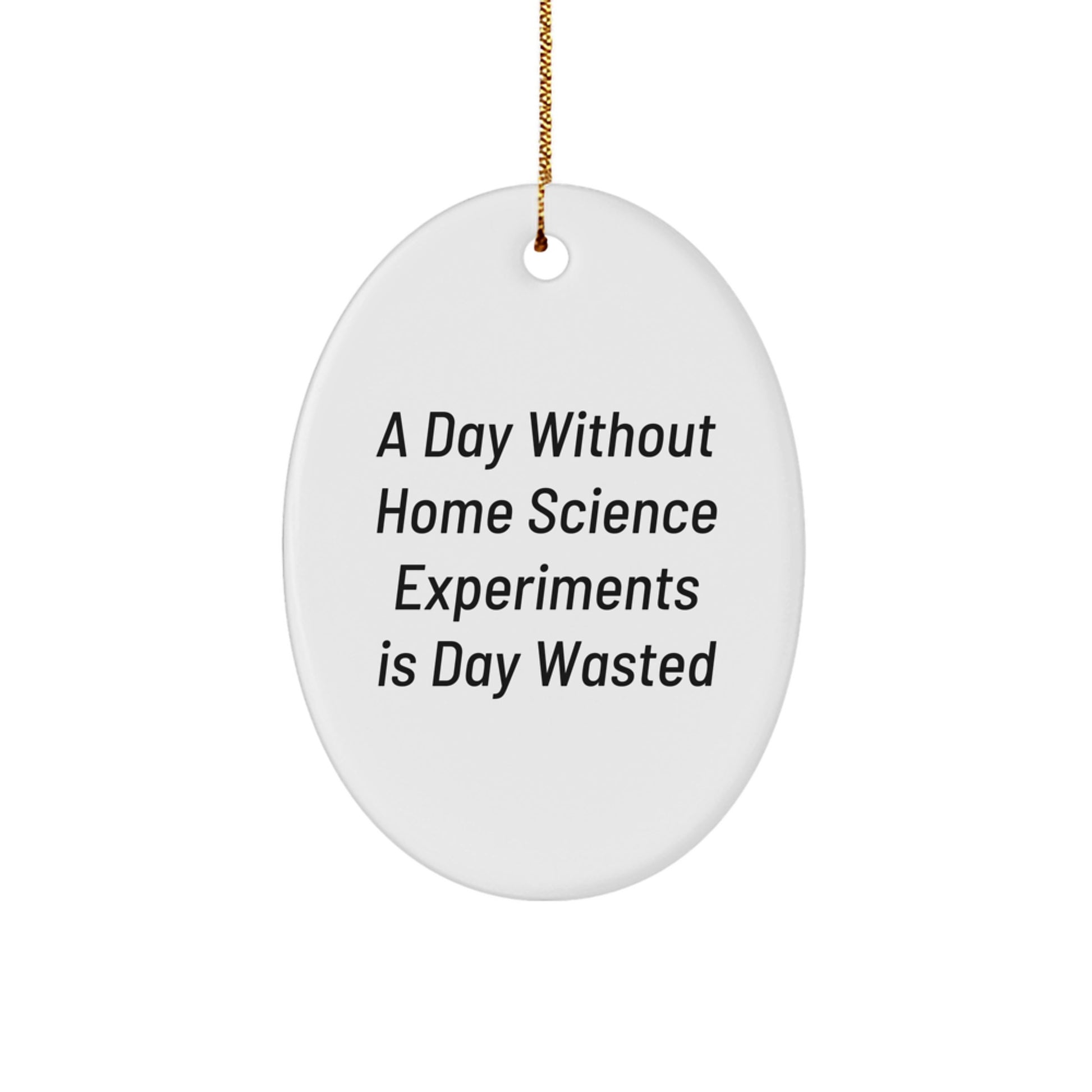 Funny Home Science Experiments Gifts for Men from Friends, Oval Ornament for Home Science Experiments Enthusiasts, Christmas Unique Gifts from Family - Image 1