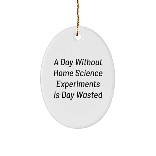 Funny Home Science Experiments Gifts for Men from Friends, Oval Ornament for Home Science Experiments Enthusiasts, Christmas Unique Gifts from Family - Image 1