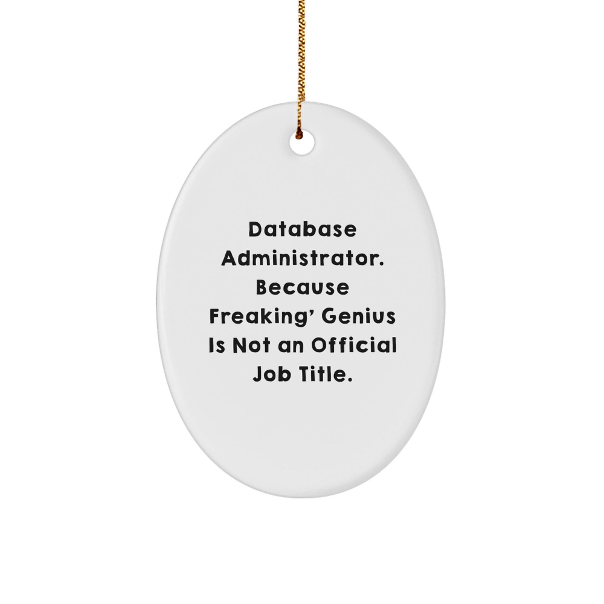 Funny Database Administrator Oval Ornament Gifts for Him from Coworkers or Friends on Christmas Unique - Image 1