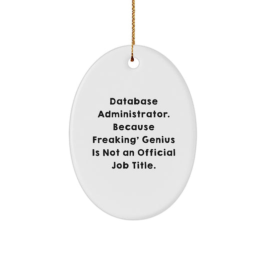Funny Database Administrator Oval Ornament Gifts for Him from Coworkers or Friends on Christmas Unique - Image 1