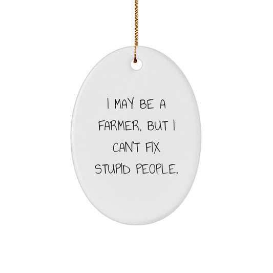 Funny Farmer Gifts for Men Oval Ornament I May Be A Farmer, But I Can't Fix Stupid People. Christmas Unique Gifts from Friends - Image 1