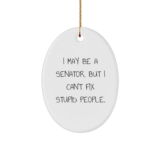 Senator Oval Ornament Funny Quote Gifts from Friends, Family, or Coworkers for Men Christmas Unique Presents - I May Be A Senator, But I Can't Fix Stupid People. - Image 1