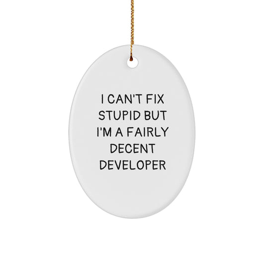 Funny Developer Gifts from Friends for Men - Oval Ornament I Can't Fix Stupid But I'm A Fairly Decent Developer - Christmas Unique Decorations - Image 1