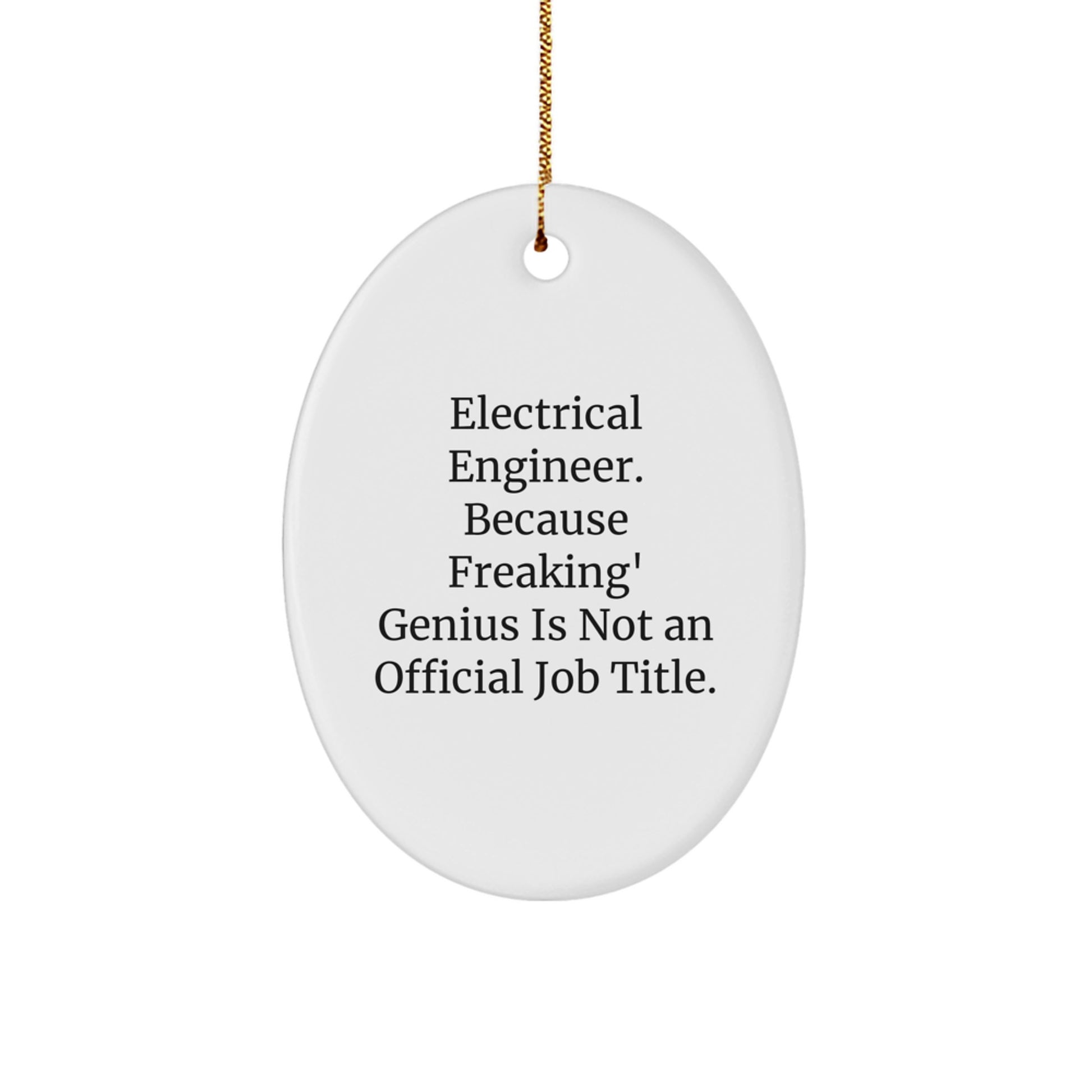 Funny Electrical Engineer Oval Ornament Gifts from Family for Christmas Unique Presents - Image 1