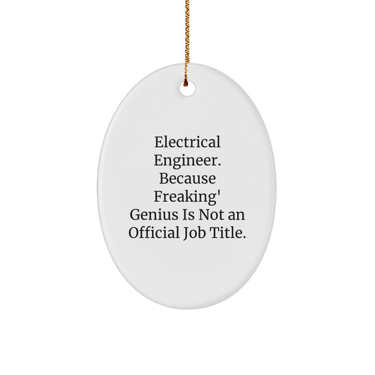 Funny Electrical Engineer Oval Ornament Gifts from Family for Christmas Unique Presents - Image 1