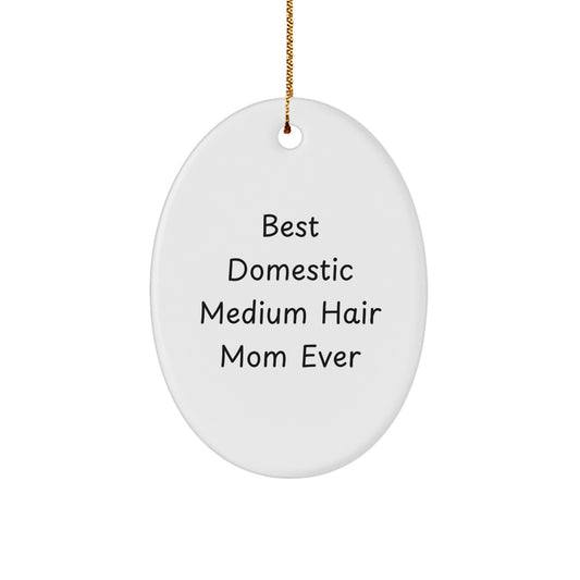 Domestic Medium Hair Cat Mom Ever Oval Ornament Gifts from Friends to Family, Funny Quote Christmas Unique Gifts - Image 1