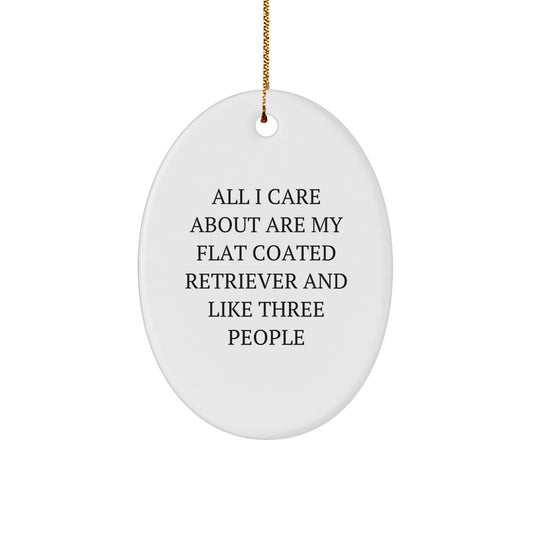 Funny Flat Coated Retriever Dog Gifts from Friends - All I Care About Are My Flat Coated Retriever And Like Three People Oval Ornament for Christmas - Image 1