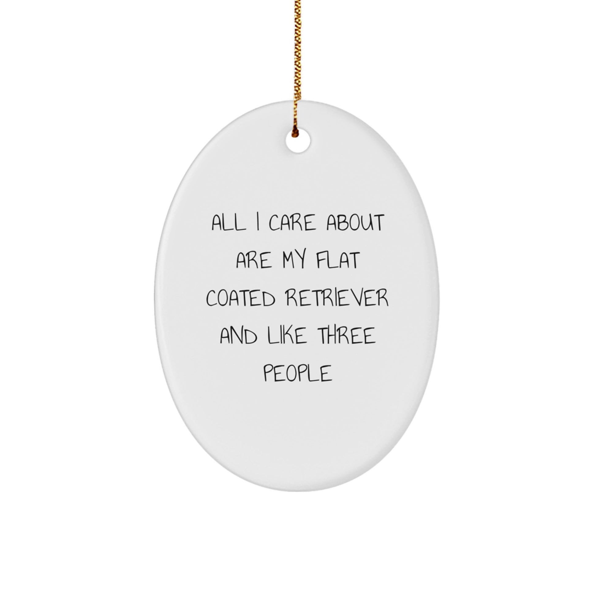 Flat Coated Retriever Dog Lovers Unite, Funny Christmas Unique Gifts for Men, Women, Friends, and Family, Oval Ornament from All I Care About Are My Flat Coated Retriever And Like Three People - Image 1
