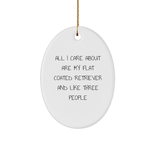 Flat Coated Retriever Dog Lovers Unite, Funny Christmas Unique Gifts for Men, Women, Friends, and Family, Oval Ornament from All I Care About Are My Flat Coated Retriever And Like Three People - Image 1