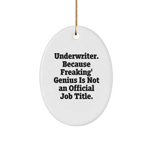 Funny Underwriter Gifts from Friends, Oval Ornament Quote Underwriter Humor Christmas Unique Gifts for Underwriter Men - Image 1