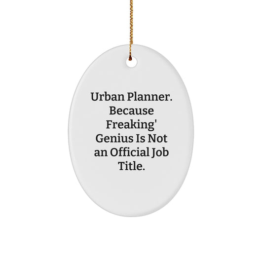 Urban Planner Oval Ornament Gifts from Friends for Christmas, Oval Shaped White Ornament with Funny genius Quote, Unique Christmas Unique Gifts for Urban Planners - Image 1