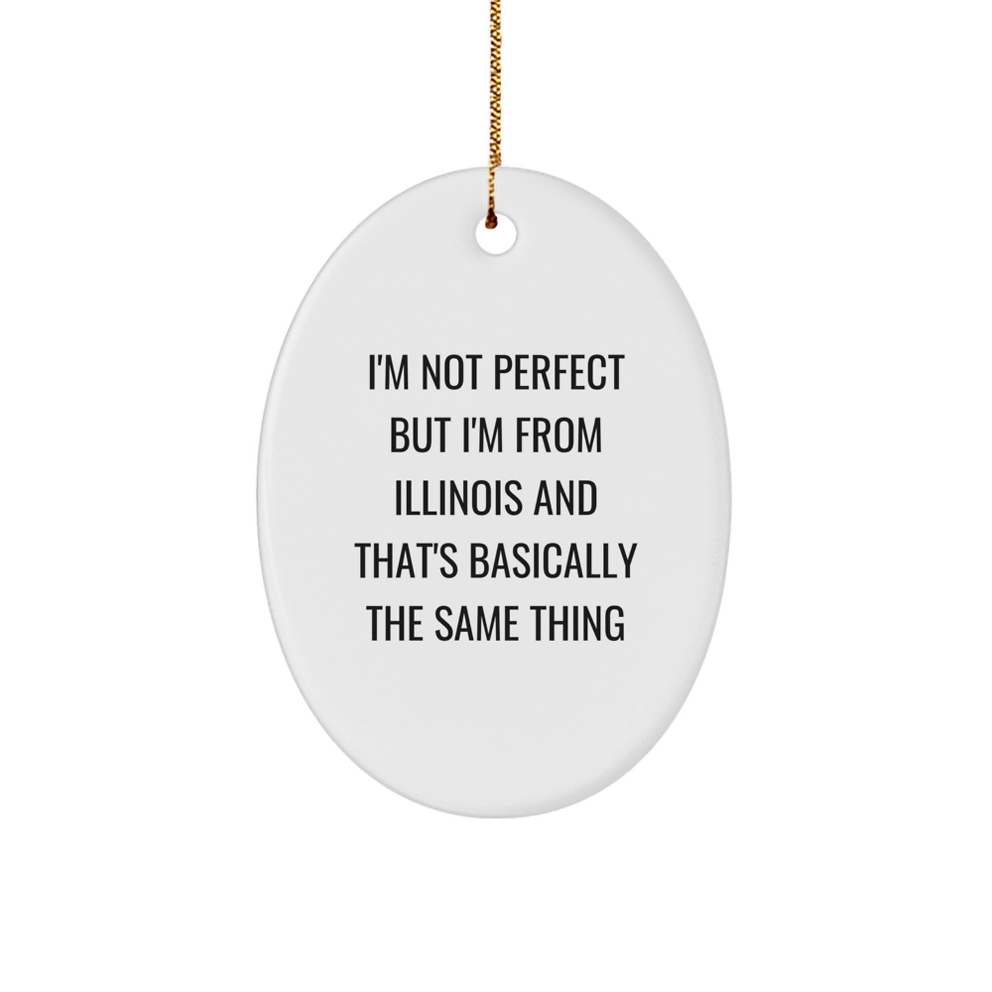 Funny Illinois Oval Ornaments for Gifts from Friends and Family for Christmas Unique - Image 1