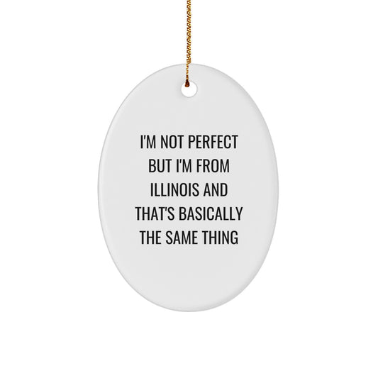 Funny Illinois Oval Ornaments for Gifts from Friends and Family for Christmas Unique - Image 1
