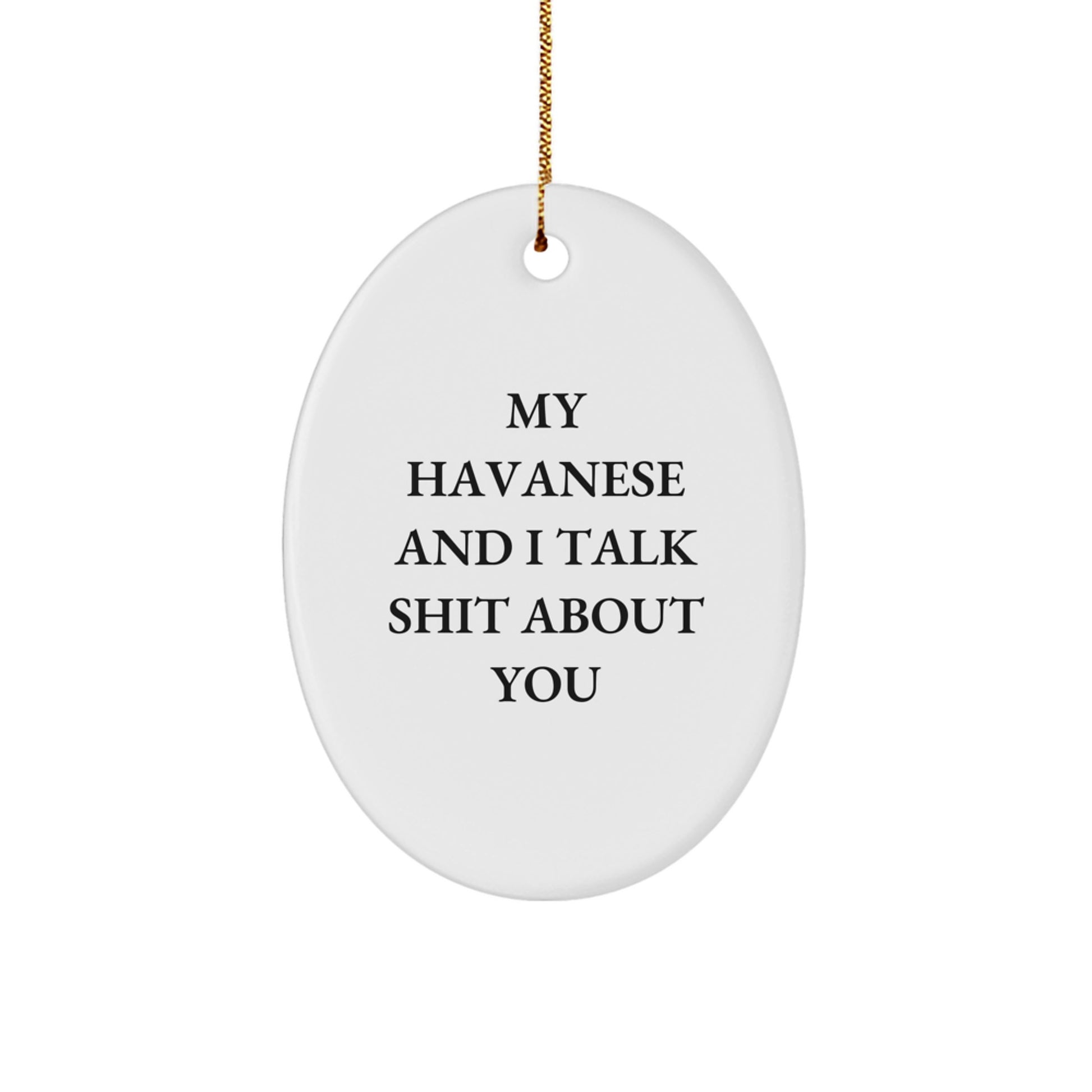 Funny Havanese Dog Oval Ornament Gifts for Friends, Family, or Coworkers - 'My Havanese And I Talk Shit About You' Christmas Unique Gifts from Men, Women - Image 1
