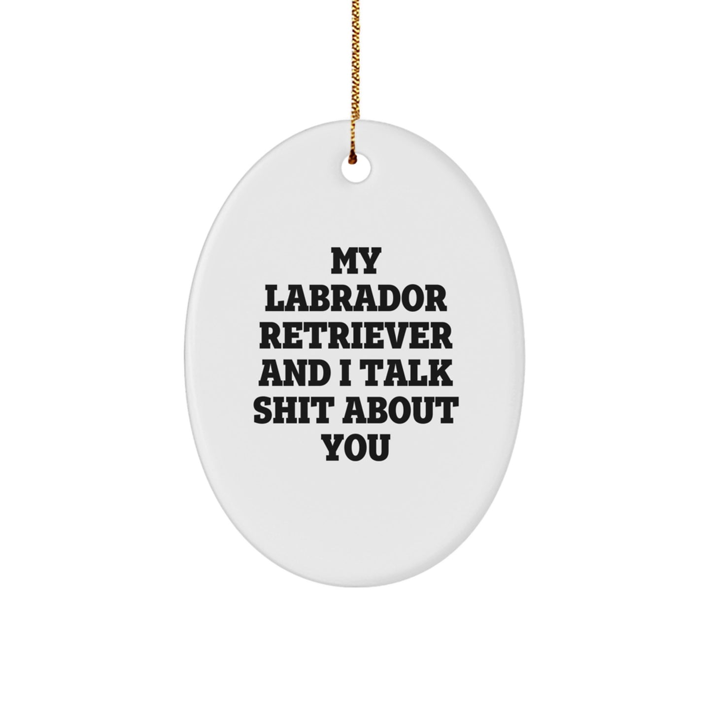 Funny Labrador Retriever Dog Gifts from Friends for Men Christmas Unique Ornaments with My Labrador Retriever And I Talk Shit About You Quote - Image 1